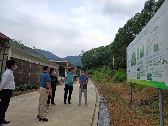 扎根泥土践初心——省生态环境厅生态与土壤处副处长江萍调研美丽乡村产业振兴