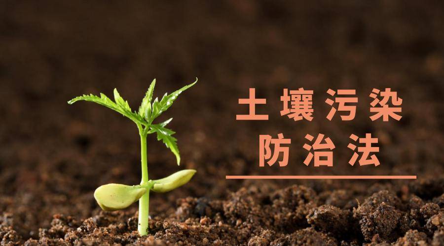 中卫市组织开展土壤污染防治条例立法调研座谈会 聚焦土壤环境污染防治服务提质增效